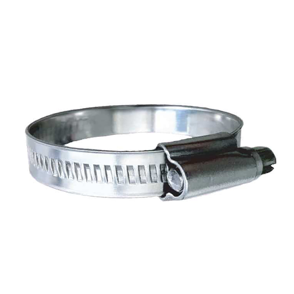Trident Marine 316 SS NonPerforated Worm Gear Hose Clamp  1532 Band  114  134 Clamping Range  10Pack  SAE Size 20